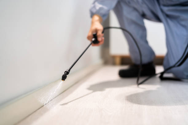 Licensed Pest Control service in Monson Center, MA - Show Me Pest Control