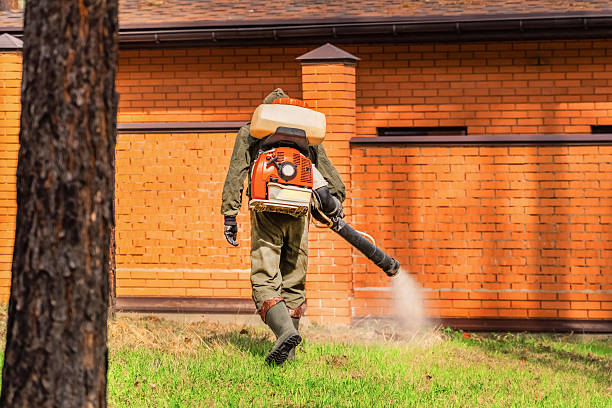 Bed Bug Clearance Verification and Documentation in Monson Center